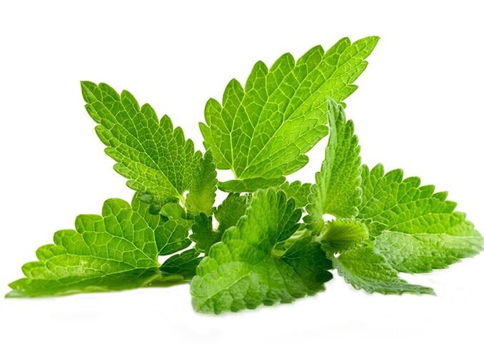 Moneta selvatica nel gel gigante